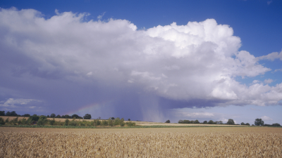 WesCon 2023: UK Summertime Convection Experiment